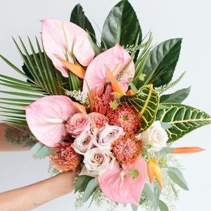 Meet your Posher, Shyla